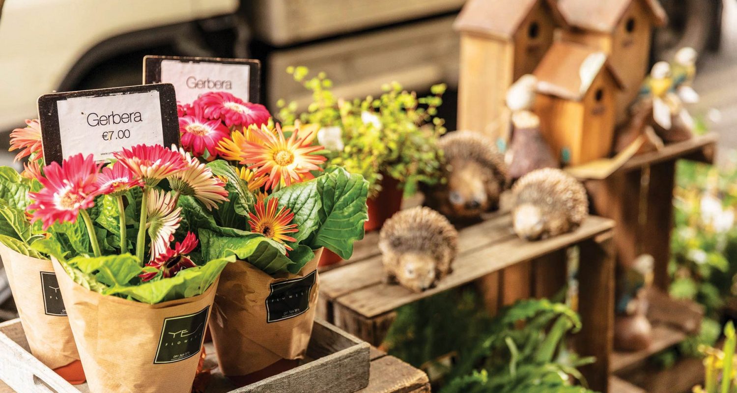 Photograph of flower assortments for sale in Crown Square at market stall