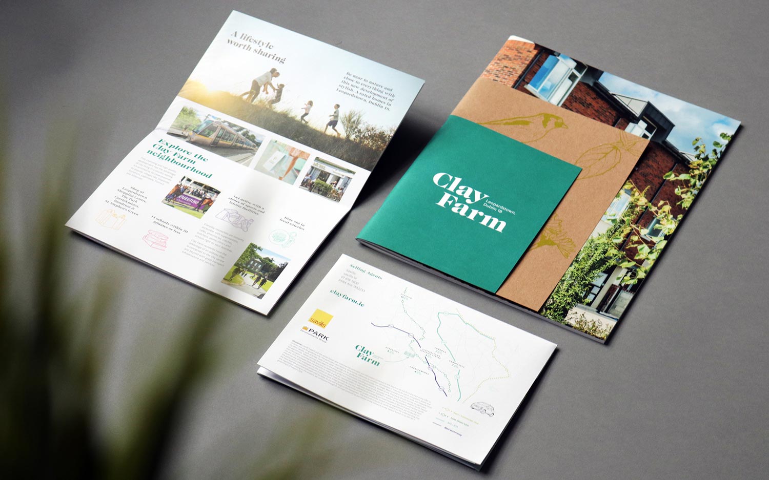 Brochures custom designed to display visitor information for Clay Farm