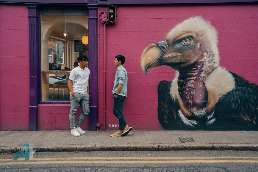 Two men standing in front of vulture mural in Ranelagh, Dublin